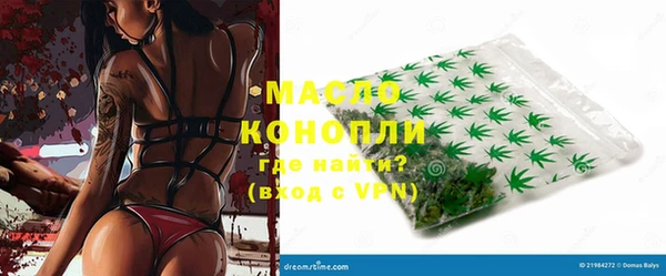 молекула духа Богданович