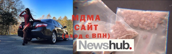 молекула духа Богданович