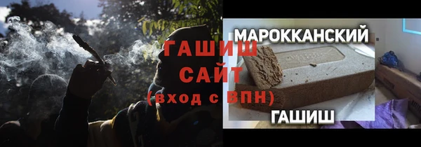 молекула духа Богданович