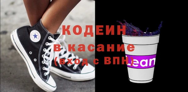 молекула духа Богданович