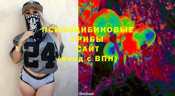 хмурый Богородск