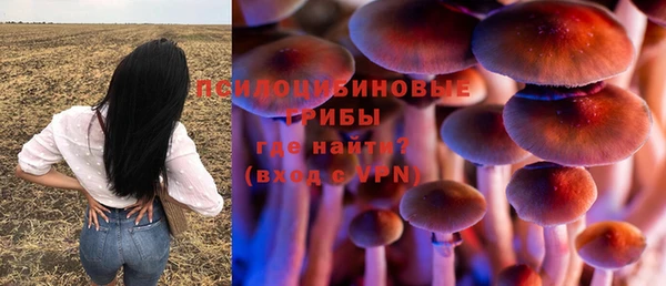 хмурый Богородск