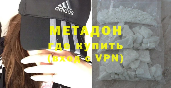 молекула духа Богданович