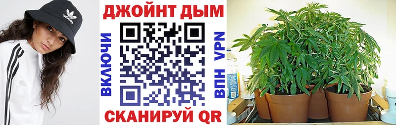 Конопля гибрид Купить закладки Выборг